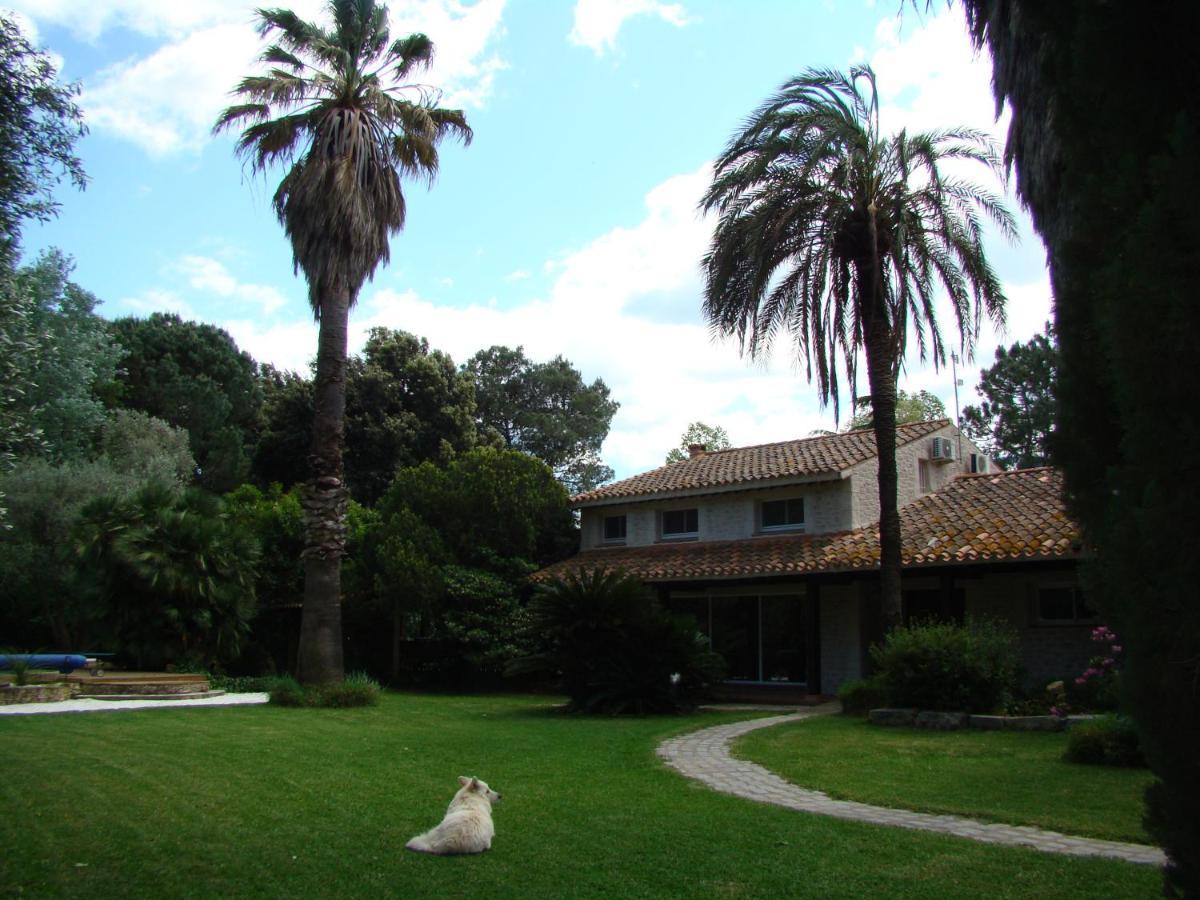 La Villa Saint Andre - Argeles Sur Mer Екстериор снимка